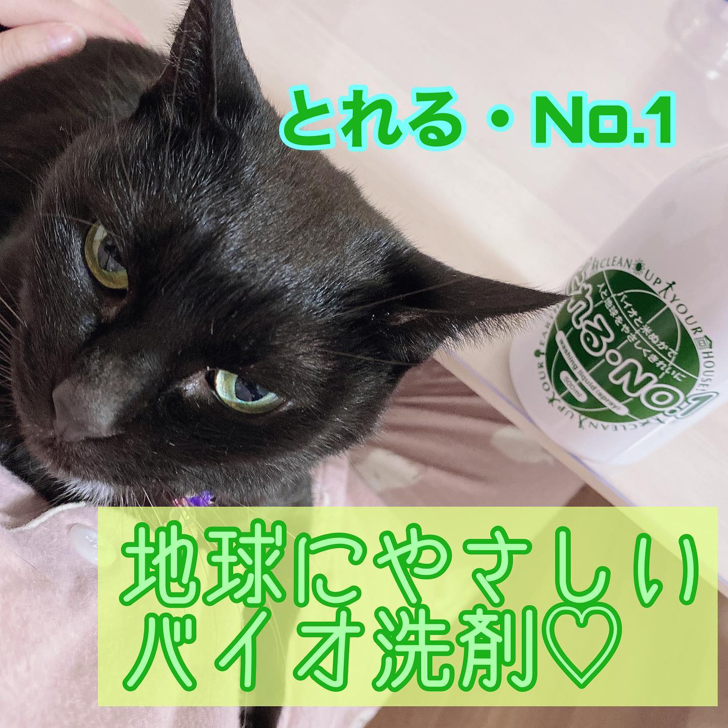 口コミ投稿：・*:..｡o○☼*ﾟ・*:..｡o○☼*ﾟ・*:..｡o○☼*ﾟ﻿﻿﻿とれるNo.1(液体)♡﻿﻿∞﻿\お掃除しながら地球…