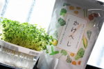 毎日の食事にかけるだけ、まぜるだけの簡単野菜🥦ご飯やお豆腐にかけたり、卵焼きやサラダにまぜるだけで手軽に野菜を摂れる「かけべじ」かけるだけ、まぜるだけ❤️味がしっかりしていてふりかけって感…のInstagram画像