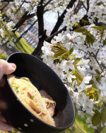 『キンレイ ラーメン横綱』今回は近くの公園でお花見ラーメンです。なべ焼き屋キンレイのラーメンは本格派そして、こんな美味しいラーメンをサクラノシタデ食べること…のInstagram画像