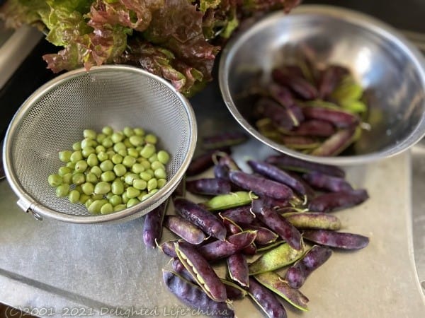 口コミ：紫の豆ごはんと海の精の醤油でお刺身の画像（2枚目）