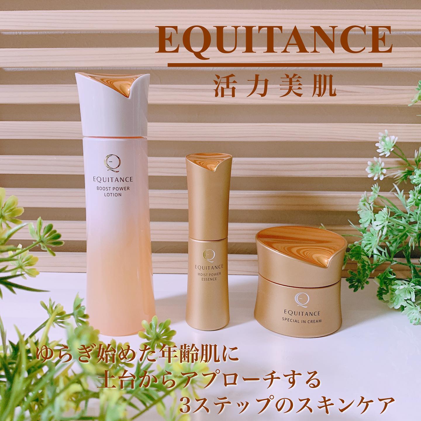 口コミ投稿：✨✨✨﻿﻿♡ サンスター ♡﻿♡ EQUITANCE ♡﻿♡活力美肌3点セット ♡﻿﻿この間、体験セットをお…