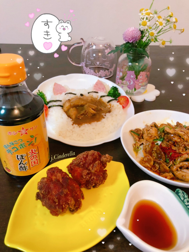 口コミ：ねこちゃんカレーと美味しい熊本ご当地ポン酢の画像（1枚目）