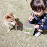 あまり食に興味のない我が家の犬も喜んで食べた餌💁‍♀ 💓DOGSTANCE 鹿肉プロミックス✨﻿﻿国産野生鹿肉ドッグフードメーカーから、エイジングケアフードが新発売✨﻿﻿野生鹿肉を中心…のInstagram画像