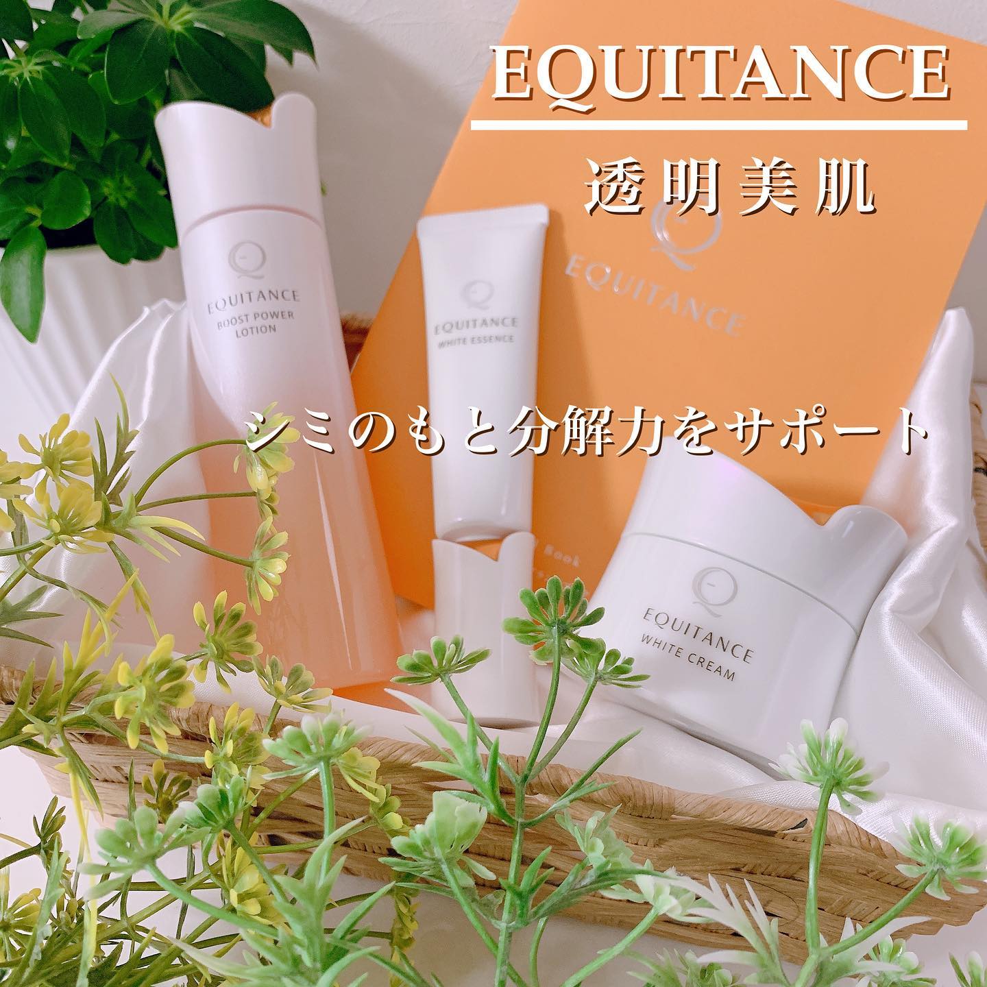口コミ投稿：✨✨✨﻿﻿♡ サンスター ♡﻿♡ EQUITANCE ♡﻿♡透明美肌3点セット ♡﻿﻿以前サンプルでお試しし…