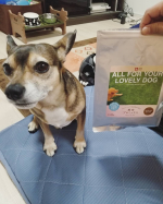 ..年齢と共に増え続けるお悩みの為に愛犬のエイジングケアフード🐕✨.✎︎＿＿＿＿＿＿＿＿＿＿＿＿鹿肉ドッグフード 鹿肉プロミックス・内容量200g ・価格880円（税込…のInstagram画像