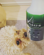 ペット由来・花粉などのアレル物質低減+布製品の消臭・抗菌してくれる、アレルキエールです。布製品専用のスプレータイプで、頻繁に洗えないカーペットや布製ソファ、カーテンにスプレーするとアレル物質を…のInstagram画像