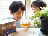 口コミ：スポーツ・勉強を頑張る子どもにぴったりのアミノ酸配合麦茶♪の画像（4枚目）