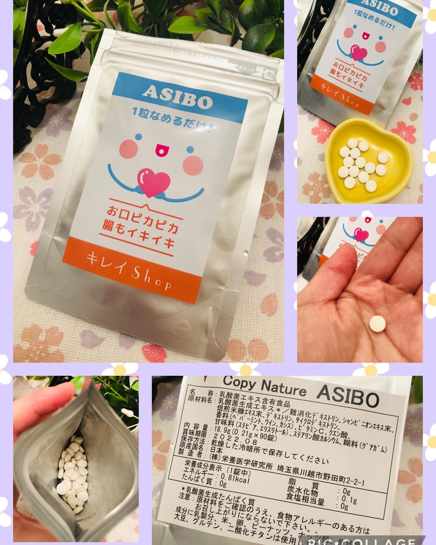 口コミ投稿：Copy Nature ASIBOを食べてみました。正確に表現すると舐めてみました。美味しいチュ…