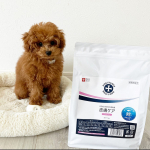 愛犬、モコに美味しいドッグフードが届いたよ❤️DOGSTANCE　療法食　皮膚ケア（フィッシュ）のご紹介です。シリーズ累計63614頭のワンちゃんが食べた！国産ドッグフードメーカー…のInstagram画像