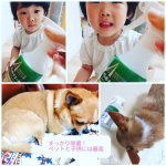 犬のトイレにも吹きかけたら息できない臭さから開放！ありがとう！つかいつづける！#アレルキエール #消臭 #ハウスダスト対策 #monipla #ses_fanのInstagram画像