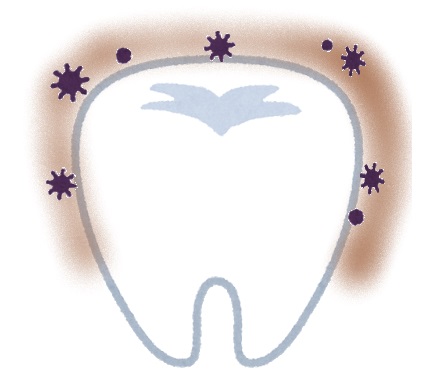 口コミ：合成界面活性剤不使用！歯医者さん推薦の歯みがきジェル・トレルデフレッシュの画像（6枚目）