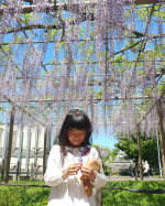 .📷①～#時差すたぐらむずっと行きたかった曼陀羅寺公園満開の藤の花綺麗だったなぁ⤴️あまーい香りにうっとりしたよ❤️.📷⑤～#P…のInstagram画像