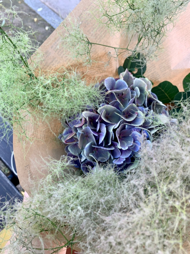 口コミ：紫陽花とスモークツリー・マカの画像（2枚目）