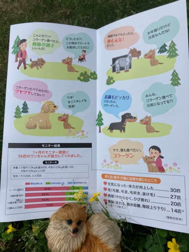 口コミ：犬用　コラーゲンサプリメント［便•ドッグ]の画像（2枚目）