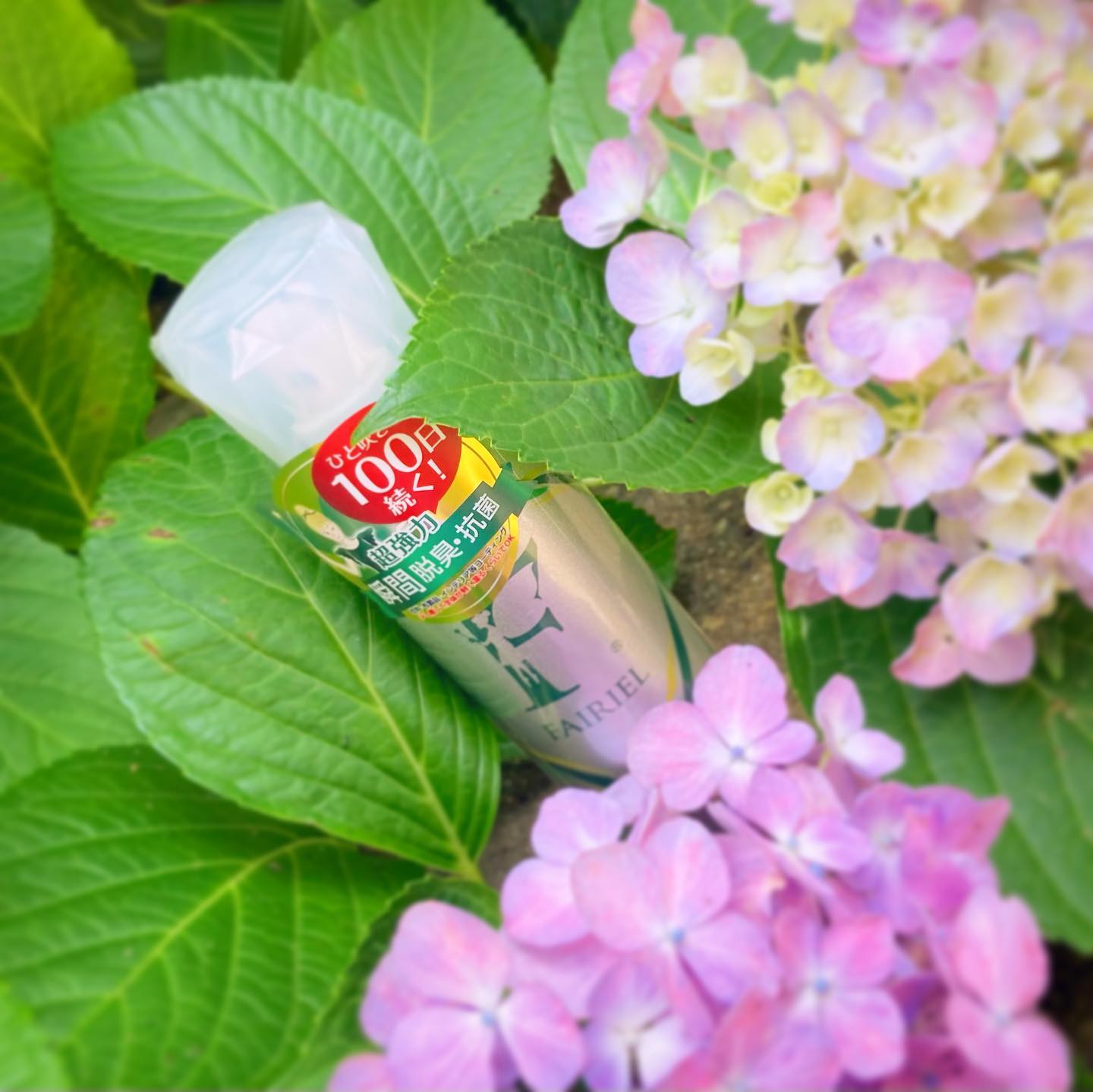 口コミ投稿：ANNIVERSARY WORLDさんのフェアリール 🍀🍀抗菌消臭スプレー 150ml臭いの元になる細菌…