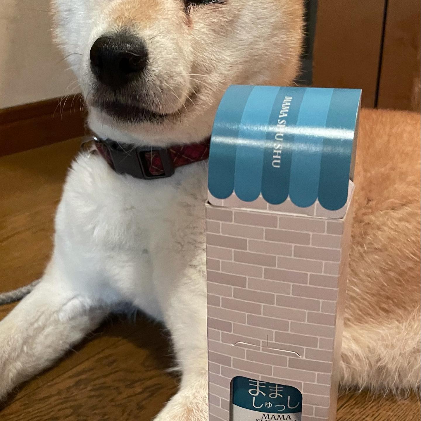 口コミ投稿：#安心安全 #まましゅっしゅ #インフルエンザ対策 #インフルエンザ予防 #風邪予防 #リ…