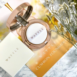 ーーーーーーーーーーーーーーーーーWATTLE クッションファンデーションーーーーーーーーーーーーーーーーー6役1品の美容液クッションファンデーションこれ１つで6役！…のInstagram画像