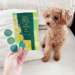大好きなアロマデマスクに、限定のシールデザインが登場！アロマdeマスク　DOG（いぬデザイン）ハリネズミマークでおなじみだけど、限定で犬と猫のデザインがでてます。我が家は犬を飼って…のInstagram画像