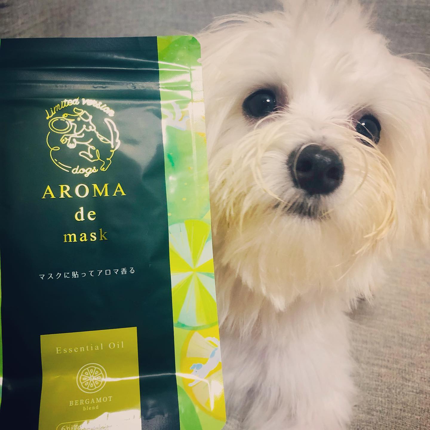 口コミ投稿：マスクの外側に貼るアロマシール🥰🥰可愛い犬ちゃん柄🐶🐶🐶普段はハリネズミ柄だけど数量…