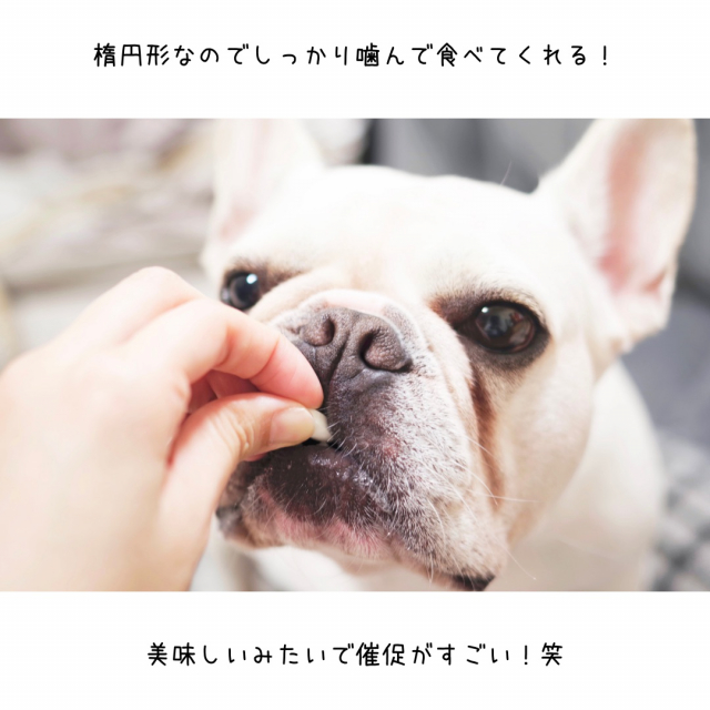 口コミ：新田ゼラチンダイレクト：犬用コラーゲンサプリメント 健・ドッグの画像（5枚目）