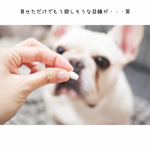 口コミ：新田ゼラチンダイレクト：犬用コラーゲンサプリメント 健・ドッグの画像（4枚目）