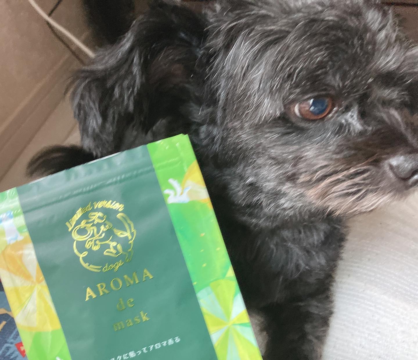 口コミ投稿：❁アロマdeマスク DOG 数量限定で犬 / 猫デザインがあります。もちろん犬デザインにし…
