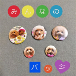 オリジナルの缶バッジやマグネットが作れちゃうアプリ『みんなのバッジ』😊*愛犬の写真でバッジとマグネットを作ってみたよ✨*操作は簡単でスマホに保存してある写真を選んで好きなフレームやスタ…のInstagram画像