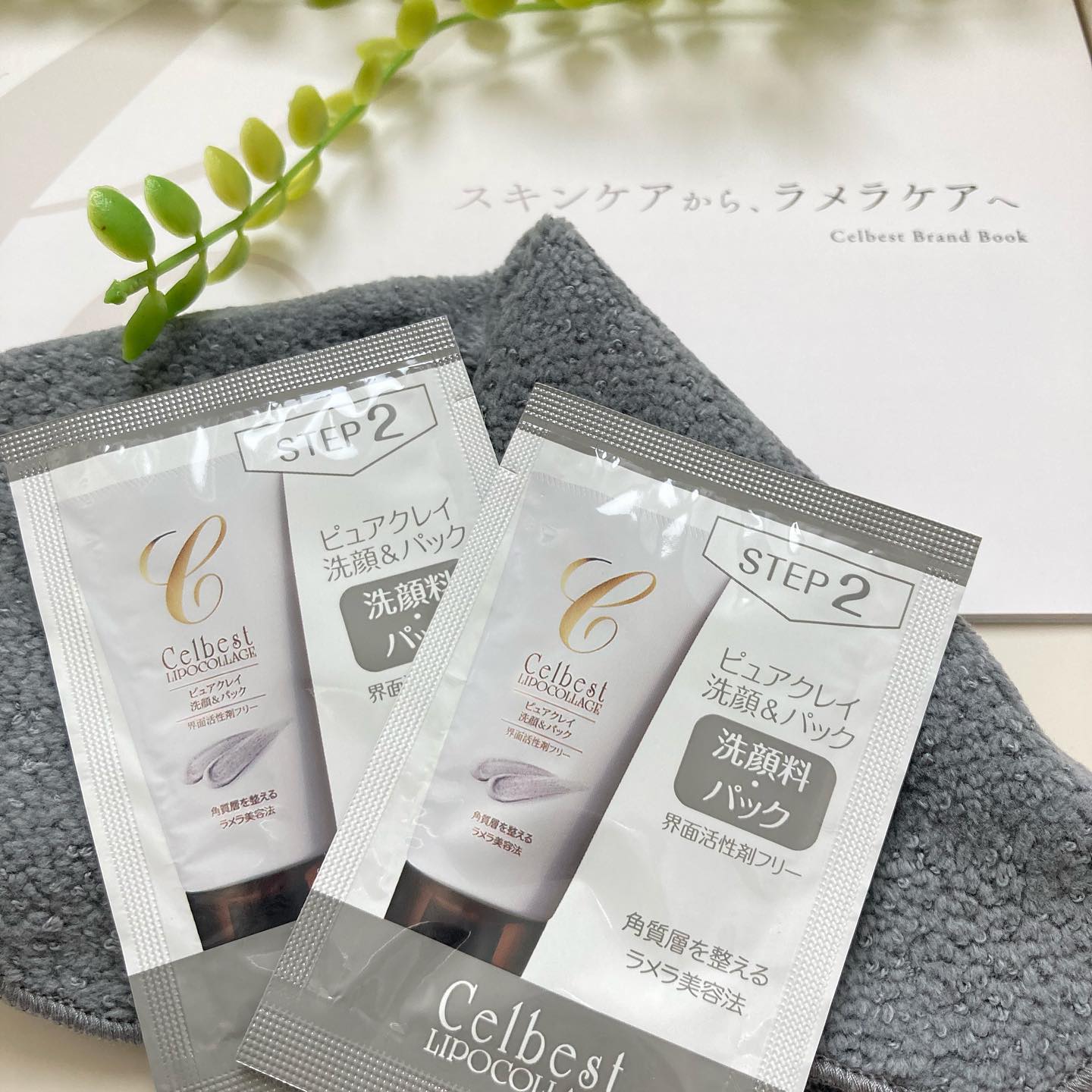 口コミ投稿：ピュアクレイ　洗顔＆パックをお試しさせていただきました𓂂𓏸𖥧手順は、／肌にそーっと…