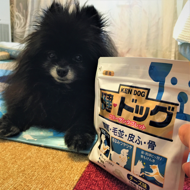 口コミ：犬用コラーゲンサプリメント『健・ドッグ』お試ししたよ！の画像（1枚目）