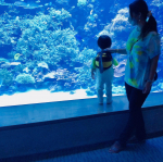 First aquarium🐟🐠🐡🦭🐳I enjoyed the scent of yuzu(o^^o)Umitamago was fun🌊🐬@eur3_itokin #eur3 #エウル…のInstagram画像