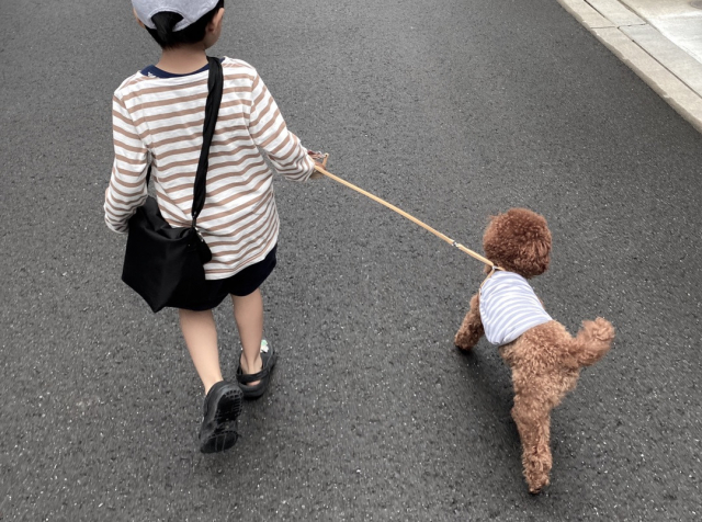 口コミ：【子育て】成長とカルシウムグミのはなしの画像（2枚目）