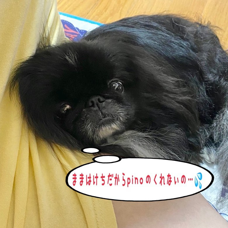 口コミ投稿：♪2021/10/10♪昨日に続きまして〜🤣✌️♪立て続けに… #モニプラ　のモニターに当選しまし…
