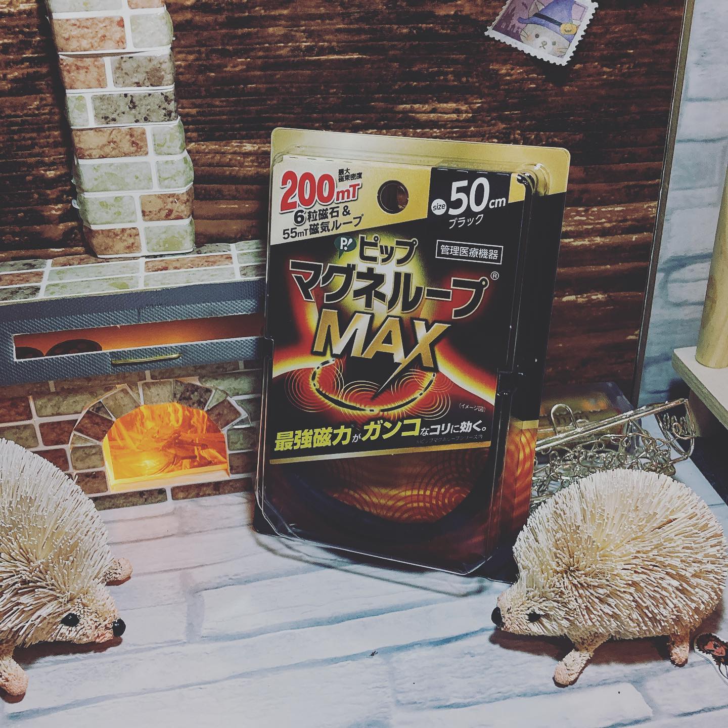 逸品】 ピップ マグネループMAX ブラック 60cm qdtek.vn