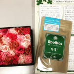タイガールイボスティーの生茶ルイボスティーお試しさせていただきました。⁡お気に入りで何度もお試しさせていただいています𓃠⁡お茶の色が綺麗なグリーンの生茶ルイボスティー。ルイボスティ…のInstagram画像