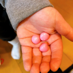 おやつタイムにカルシウムグミ🍓🥛スクスクのっぽくん イチゴ味👦🏻✨最近の息子の大好物がこちら💁🏻‍♀️スクスクのっぽくんのイチゴ味🍓大好きなイチゴグミの中にカルシウムやビタミンDがいっぱ…のInstagram画像