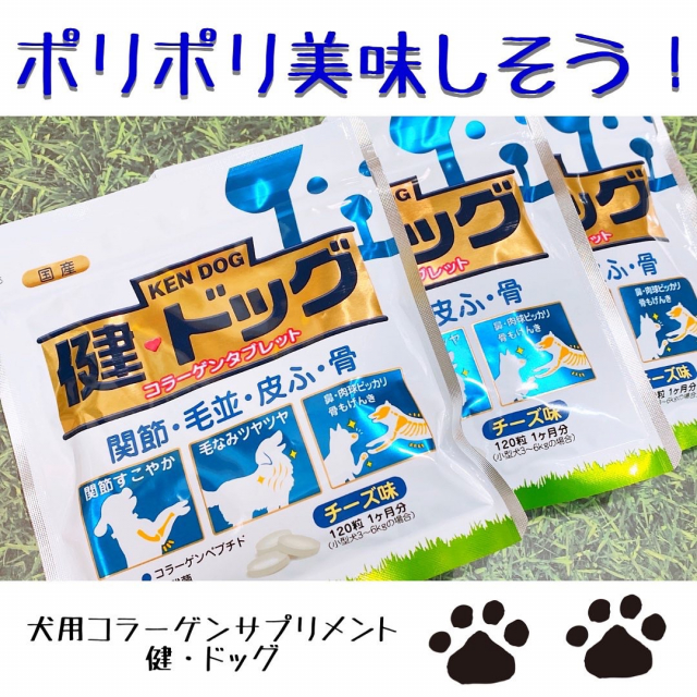 口コミ：新田ゼラチンダイレクト：犬用コラーゲンサプリメント 健・ドッグの画像（1枚目）