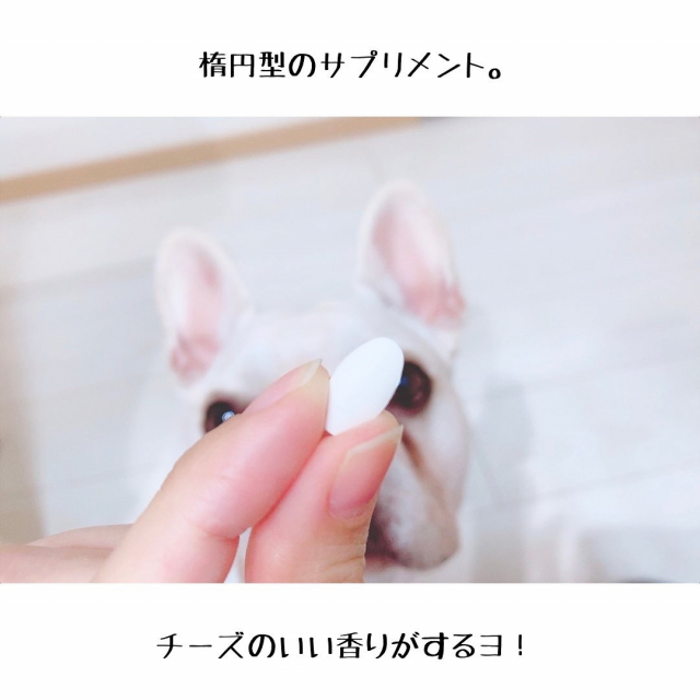口コミ：新田ゼラチンダイレクト：犬用コラーゲンサプリメント 健・ドッグの画像（3枚目）