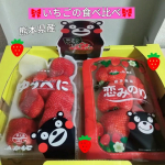 🍓熊本県産いちご🍓「ゆうべに」と「恋みのり」が届きました🙌2つの品種の食べ比べをさせていただきます娘に今年のバレンタインはどうしようかー？と相談される時期がやってまいりまし…のInstagram画像