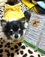 HI-GENKI SPIRULINA玄米酵素(自然派 玄米サプリ)飼い主さんと一緒に動物も食べられるサプリ❣️ワンちゃん達に試してみます。好みが、激しいので、食べてくれるのか心配…のInstagram画像