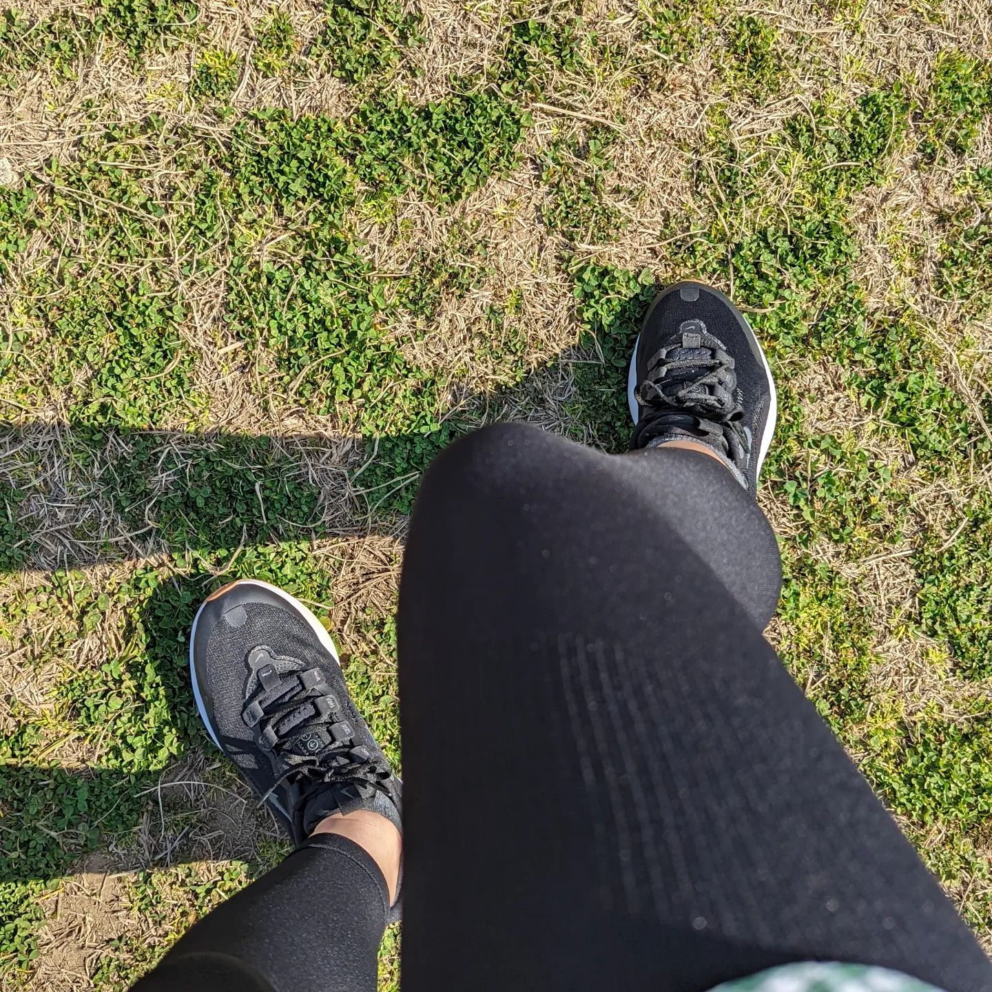 口コミ投稿：着圧レギンスとか補正ガードル毎日履くようにしてる今日はスリムウォーク履いて公園…