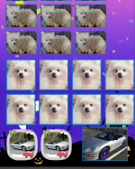 自分だけのオリジナルシールがスマホアプリで簡単に作れて注文できる　みんなのシールを体験してみました❣️フレームや文字をいれたり図形編集や大きさ変更まで簡単にできちゃいます！愛犬のシール…のInstagram画像