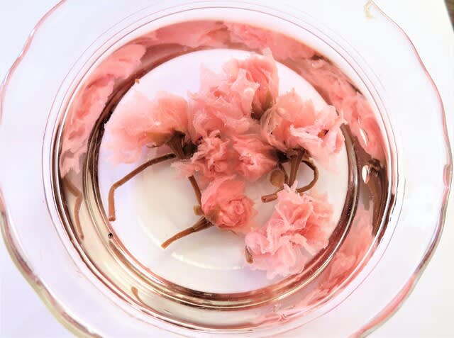 口コミ：海の精　桜の花塩漬けの画像（2枚目）