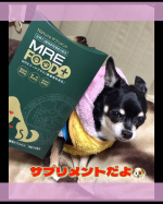 MREFOODPLAS 世界34か国で特許を取得している発行分解成分MRE成分を主成分❣️健康にサポートが期待できる健康補助食品を愛犬に使ってみました。着色料、保存料、添加物、食いつき…のInstagram画像