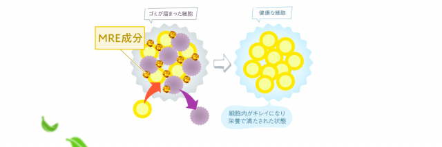 口コミ：君といつまでも元気にずっと一緒にいたいな。の画像（3枚目）