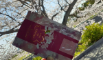 『aroma de mask』⁡アロマdeマスク⁡⁡桜限定デザイン⁡⁡甘くて⁡⁡いい香り⁡⁡⁡⁡桜の季節に素敵な香りに⁡⁡可愛らしいシール⁡⁡⁡⁡#アロマd…のInstagram画像