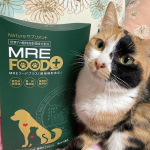 #株式会社スターネット から世界３４カ国特許取得成分『MRE成分』配合愛犬・愛猫用/健康サポートジュレ「 MRE FOOD+ 」 (エムアールイー フードプラス)@mre_foodpl…のInstagram画像