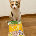 マルトモ株式会社様より マルトモ「減塩かつおだいすき　犬猫用」をお試しさせていただきました。1ｇ×16袋国内原料・国内製造加工で安全安心な高タンパク低脂肪のペット用おやつのかつお節。小分けパック…のInstagram画像