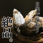 𓂃𖤥𖥧𖥣⋆*@ikisetouchi さんの#絶品冷凍牡蠣 #牡蠣 好きさんにはたまらない逸品。ぷりっぷりの濃厚な牡蠣。新鮮なまま冷凍してそのまま送られてく…のInstagram画像