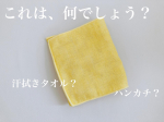 これはっ！👏こういうの待ってました〜✨制菌・抗ウイルス機能をもったタオルマスクポーチ✨カラーは5種類あります👍食事中や、いっときマスクを外す時、そのままポッケに入れる事が多かった。出…のInstagram画像