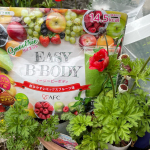 EASY B-BODY（イージービーボディ）をお試しさせていただきました。置き換えダイエットにチャレンジです。こちらはレタス1.2個分の食物繊維と、140種類以上の野菜・果物など、プラ…のInstagram画像